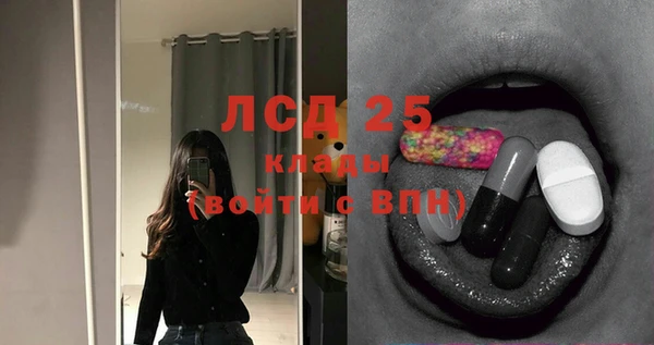 трава Корсаков