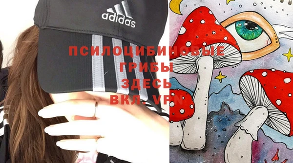 амф Козловка