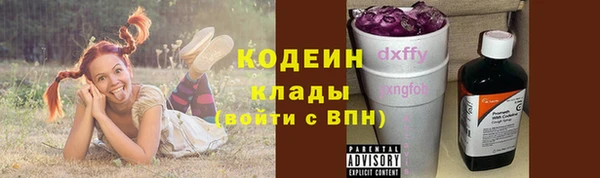 хмурый Кодинск