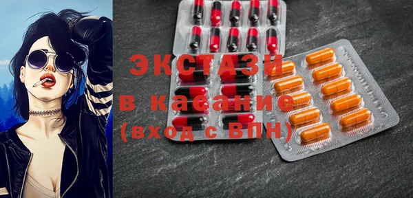крисы Козельск