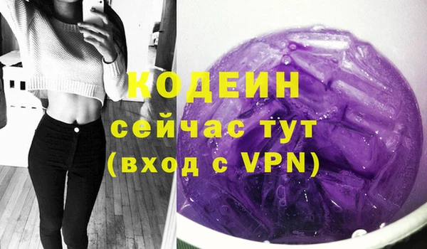 хмурый Кодинск