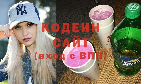 хмурый Кодинск