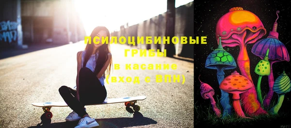амф Козловка