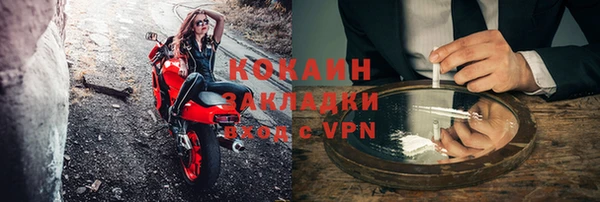 крисы Козельск