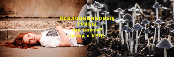 хмурый Кодинск
