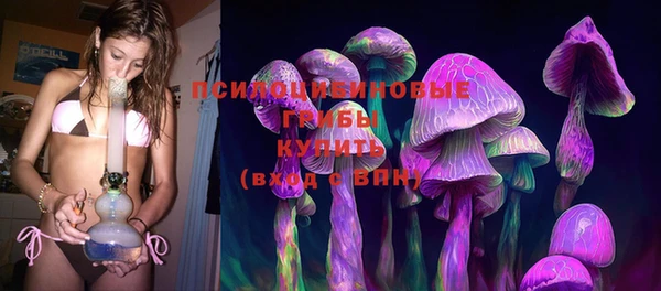 крисы Козельск