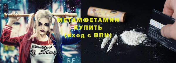 крисы Козельск